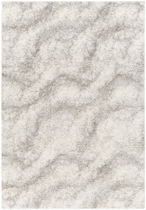 Cloudy Shag CDG-2306 7'10" x 10' Machine Woven Rug CDG2306-71010 Livabliss Surya