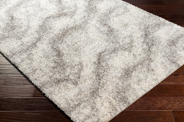 Livabliss Cloudy Shag Plush Polyester Area Rug for Living Room Bedroom Soft Neutral Pile White, Gray 7'10" x 10' CDG2306-71010