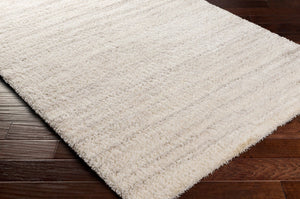 Livabliss Cloudy Shag Machine Woven Polyester Rug for Cozy Living Room or Bedroom Floors White, Gray 5'3" x 7' CDG2307-537