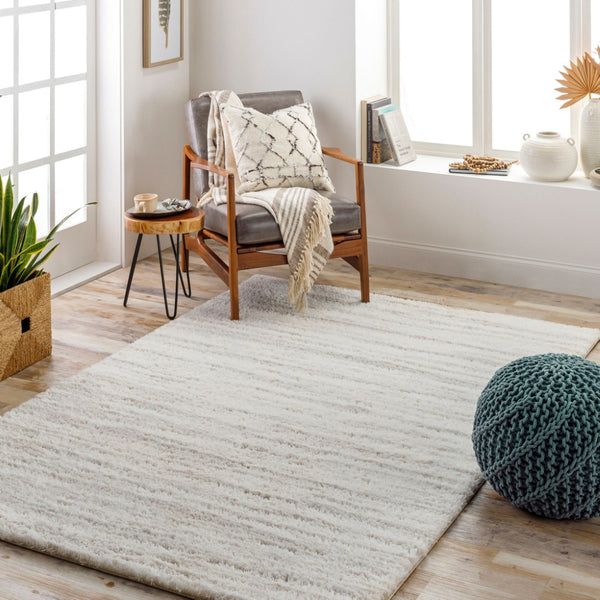 Livabliss Cloudy Shag Machine Woven Polyester Rug for Cozy Living Room or Bedroom Floors White, Gray 5'3" x 7' CDG2307-537