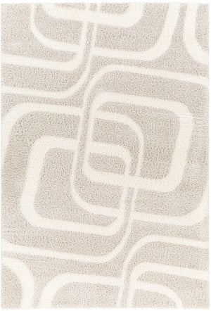 Cloudy Shag CDG-2309 7'10" x 10' Machine Woven Rug CDG2309-71010 Livabliss Surya