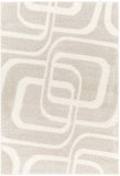 Cloudy Shag CDG-2309 7'10" x 10' Machine Woven Rug CDG2309-71010 Livabliss Surya