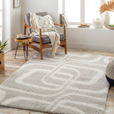 Cloudy Shag CDG-2309 7'10" x 10' Machine Woven Rug CDG2309-71010 Livabliss Surya