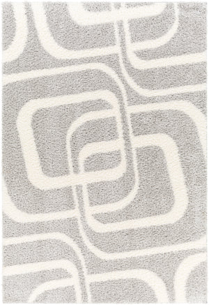 Cloudy Shag CDG-2310 7'10" x 10' Machine Woven Rug CDG2310-71010 Livabliss Surya