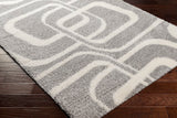 Cloudy Shag CDG-2310 7'10" x 10' Machine Woven Rug CDG2310-71010 Livabliss Surya