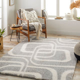 Cloudy Shag CDG-2310 7'10" x 10' Machine Woven Rug CDG2310-71010 Livabliss Surya