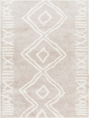 Livabliss Cloudy Plush Polyester Shag Area Rug Machine Woven Bohemian Style for Living Room CDG2311-679
