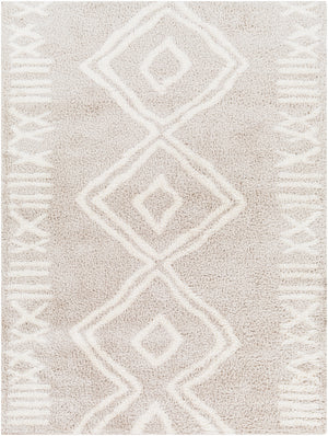 Cloudy Shag CDG-2311 7'10" x 10' Machine Woven Rug CDG2311-71010 Livabliss Surya