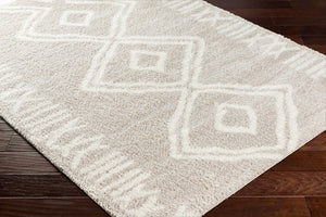 Livabliss Cloudy Plush Polyester Shag Area Rug Machine Woven Bohemian Style for Living Room CDG2311-679