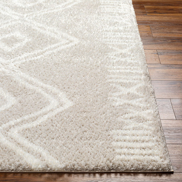Livabliss Cloudy Plush Polyester Shag Area Rug Machine Woven Bohemian Style for Living Room CDG2311-679