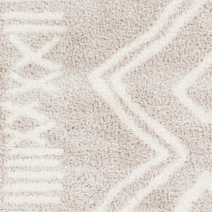 Livabliss Cloudy Plush Polyester Shag Area Rug Machine Woven Bohemian Style for Living Room CDG2311-679