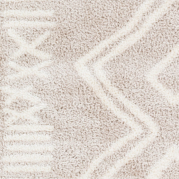 Livabliss Cloudy Plush Polyester Shag Area Rug Machine Woven Bohemian Style for Living Room CDG2311-679