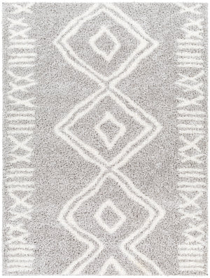 Cloudy Shag CDG-2312 7'10" x 10' Machine Woven Rug CDG2312-71010 Livabliss Surya