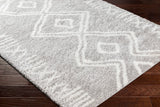 Cloudy Shag CDG-2312 7'10" x 10' Machine Woven Rug CDG2312-71010 Livabliss Surya