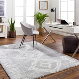 Cloudy Shag CDG-2312 7'10" x 10' Machine Woven Rug CDG2312-71010 Livabliss Surya