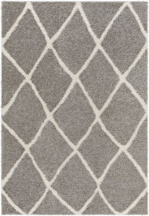 Livabliss Cloudy Shag Polyester Area Rug Plush Pile for Living Room Bohemian Decor Charcoal, White 7'10" x 10' CDG2313-71010