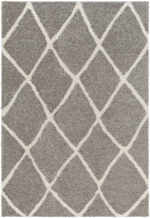 Cloudy Shag CDG-2313 7'10" x 10' Machine Woven Rug CDG2313-71010 Livabliss Surya