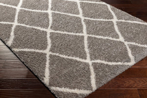Livabliss Cloudy Shag Polyester Area Rug Plush Pile for Living Room Bohemian Decor Charcoal, White 7'10" x 10' CDG2313-71010
