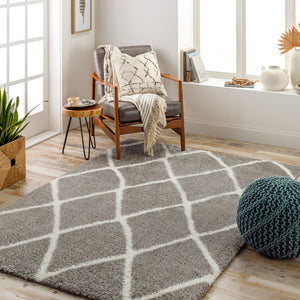 Livabliss Cloudy Shag Polyester Area Rug Plush Pile for Living Room Bohemian Decor Charcoal, White 7'10" x 10' CDG2313-71010