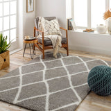 Cloudy Shag CDG-2313 7'10" x 10' Machine Woven Rug CDG2313-71010 Livabliss Surya