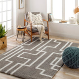 Cloudy Shag CDG-2315 7'10" x 10' Machine Woven Rug CDG2315-71010 Livabliss Surya