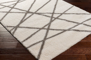 Livabliss Cloudy Shag Machine Woven Polyester Rug Plush Pile for Living Room or Bedroom CDG2316-679