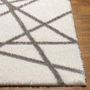 Livabliss Cloudy Shag Machine Woven Polyester Rug Plush Pile for Living Room or Bedroom CDG2316-679