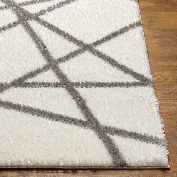 Livabliss Cloudy Shag Machine Woven Polyester Rug Plush Pile for Living Room or Bedroom CDG2316-679