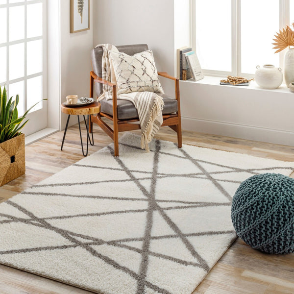 Livabliss Cloudy Shag Machine Woven Polyester Rug Plush Pile for Living Room or Bedroom CDG2316-679