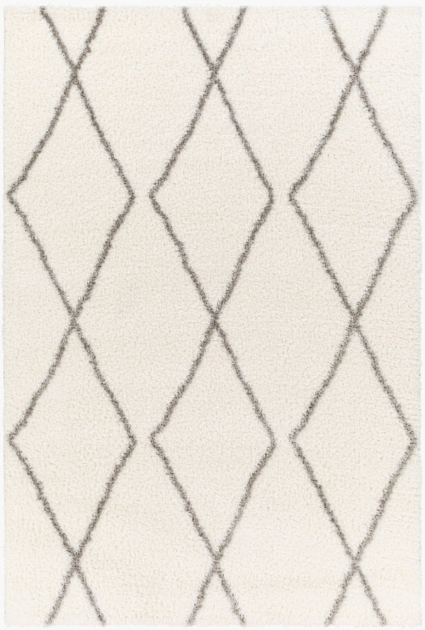 Livabliss Cloudy Shag Polyester Area Rug Plush Machine Woven Pile for Living Room Bedroom White, Gray 5'3" x 7' CDG2317-537