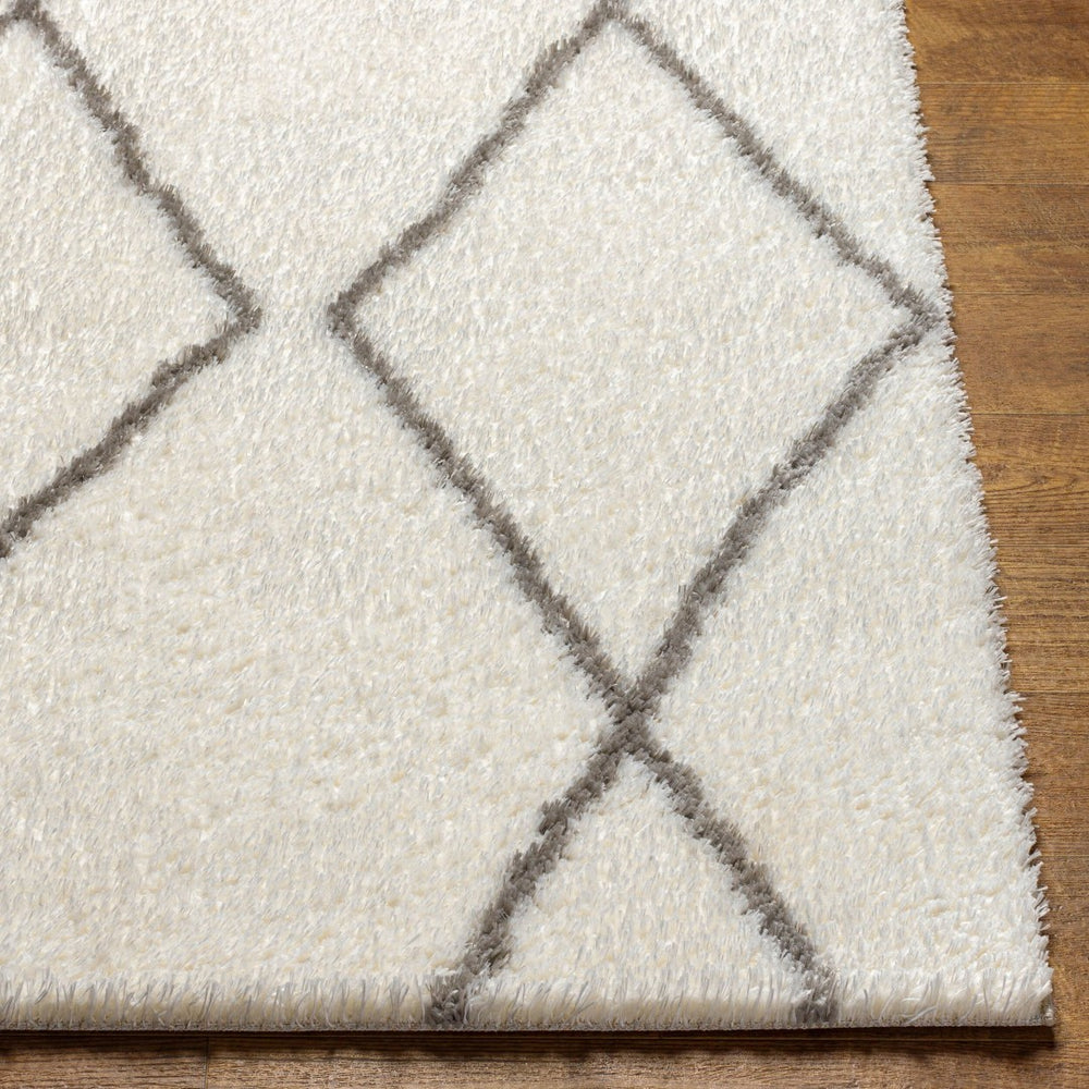 Livabliss Cloudy Shag Polyester Area Rug Plush Machine Woven Pile for Living Room Bedroom White, Gray 5'3" x 7' CDG2317-537