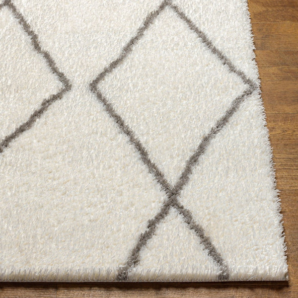 Livabliss Cloudy Shag Polyester Area Rug Plush Machine Woven Pile for Living Room Bedroom White, Gray 5'3" x 7' CDG2317-537