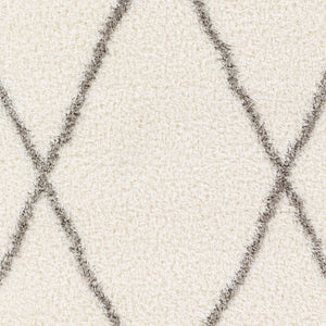 Livabliss Cloudy Shag Polyester Area Rug Plush Machine Woven Pile for Living Room Bedroom White, Gray 5'3" x 7' CDG2317-537