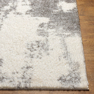 Livabliss Cloudy Shag Plush Polyester Area Rug for Living Room and Bedroom Soft Neutral Pile White, Gray 6'7" x 9' CDG2318-679