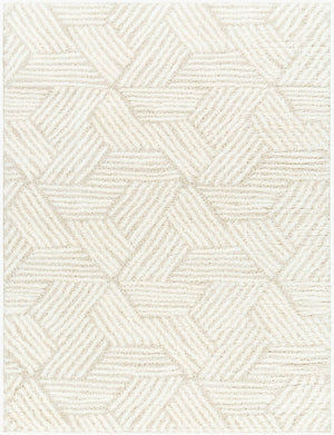 Livabliss Cloudy Shag Polyester Area Rug Machine Woven Plush High Pile for Living Bedroom White, Light Be 7'10" x 10' CDG2319-71010
