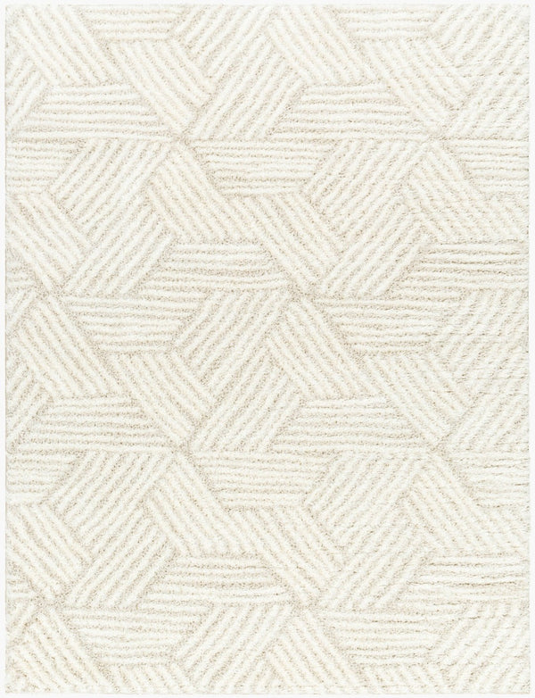 Livabliss Cloudy Shag Polyester Area Rug Machine Woven Plush High Pile for Living Bedroom White, Light Be 7'10" x 10' CDG2319-71010