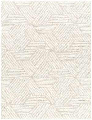 Cloudy Shag CDG-2319 7'10" x 10' Machine Woven Rug CDG2319-71010 Livabliss Surya