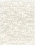 Cloudy Shag CDG-2319 7'10" x 10' Machine Woven Rug CDG2319-71010 Livabliss Surya