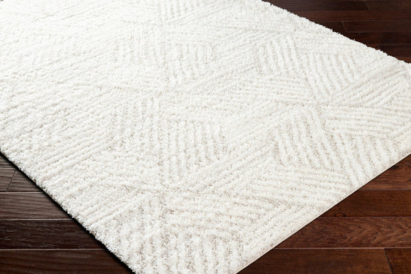 Livabliss Cloudy Shag Polyester Area Rug Machine Woven Plush High Pile for Living Bedroom White, Light Be 7'10" x 10' CDG2319-71010