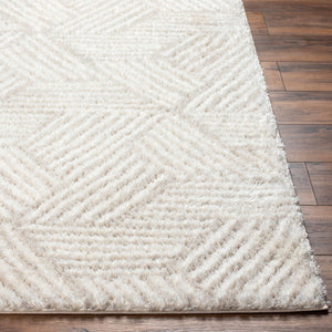 Livabliss Cloudy Shag Polyester Area Rug Machine Woven Plush High Pile for Living Bedroom White, Light Be 7'10" x 10' CDG2319-71010