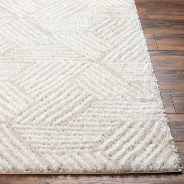 Livabliss Cloudy Shag Polyester Area Rug Machine Woven Plush High Pile for Living Bedroom White, Light Be 7'10" x 10' CDG2319-71010