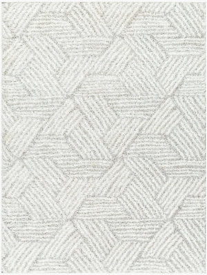 Livabliss Cloudy Shag Polyester Area Rug Plush Machine Woven Texture for Living Room or Bedroom White, Gray 6'7" x 9' CDG2320-679