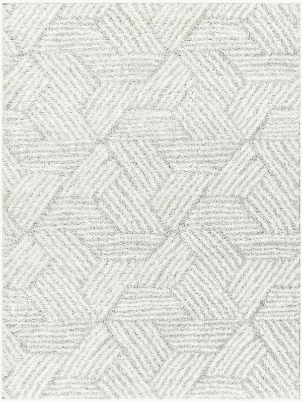 Livabliss Cloudy Shag Polyester Area Rug Plush Machine Woven Texture for Living Room or Bedroom White, Gray 6'7" x 9' CDG2320-679