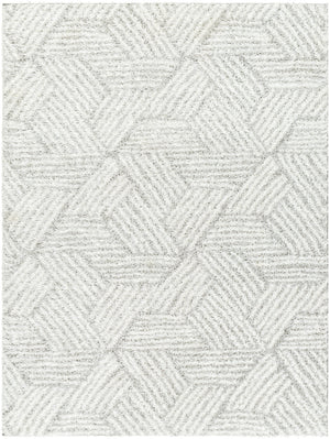 Cloudy Shag CDG-2320 7'10" x 10' Machine Woven Rug CDG2320-71010 Livabliss Surya