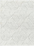 Cloudy Shag CDG-2320 7'10" x 10' Machine Woven Rug CDG2320-71010 Livabliss Surya