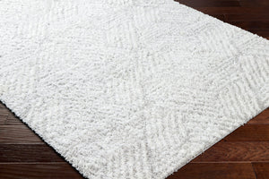 Livabliss Cloudy Shag Polyester Area Rug Plush Machine Woven Texture for Living Room or Bedroom White, Gray 6'7" x 9' CDG2320-679