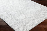 Cloudy Shag CDG-2320 7'10" x 10' Machine Woven Rug CDG2320-71010 Livabliss Surya