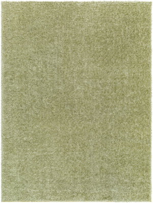 Cloudy Shag CDG-2322 7'10" x 10' Machine Woven Rug CDG2322-71010 Livabliss Surya