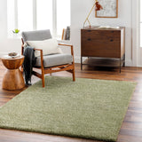 Cloudy Shag CDG-2322 7'10" x 10' Machine Woven Rug CDG2322-71010 Livabliss Surya