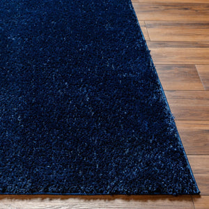 Livabliss Cloudy Shag Polyester Area Rug Plush Pile Woven Accent for Bedroom Living Room Dark Blue 3'11" x 5'7" CDG2326-31157